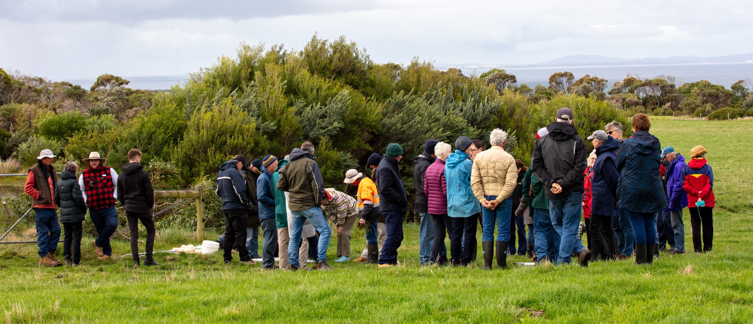 Image: Food & Fibre Gippsland (photographer Barb Radley)