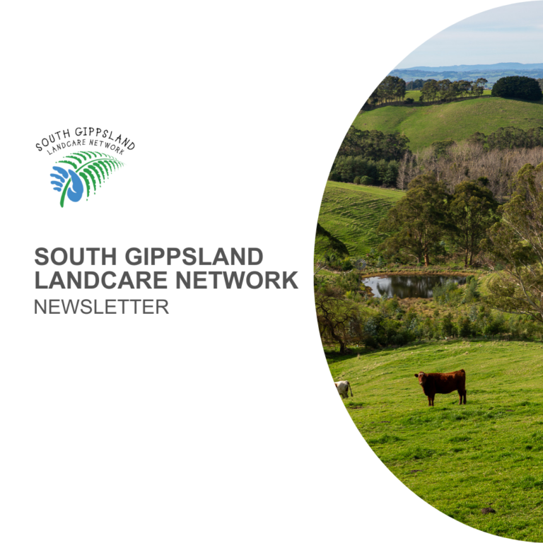 April Landcare News is here! Workshops, grants, local events, and ways to support Landcare in South Gippsland—including tax-deductible donations to on-ground projects.