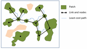 image credit: James Garden Ecology Systems