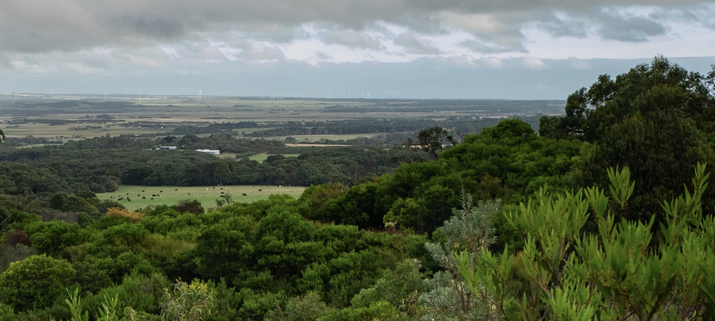 South Gippsland landscape