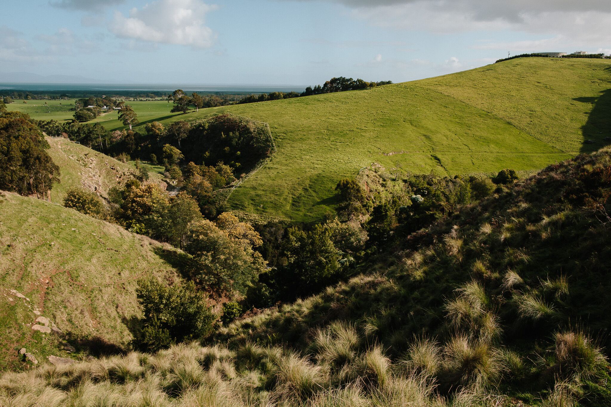 Rolling green hills and a gully of native vegetation in South Gippsland