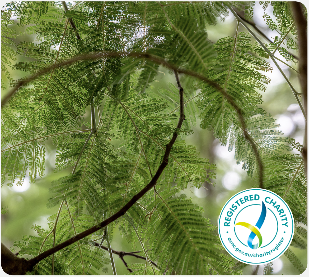 Support South Gippsland Landcare Network